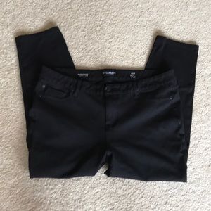 NWOT Liverpool Jeans Madonna Legging 14P/32P!